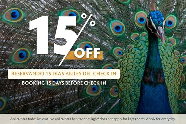 Early booking 15 days Movich Hotels Early booking 15 days Movich Hotels