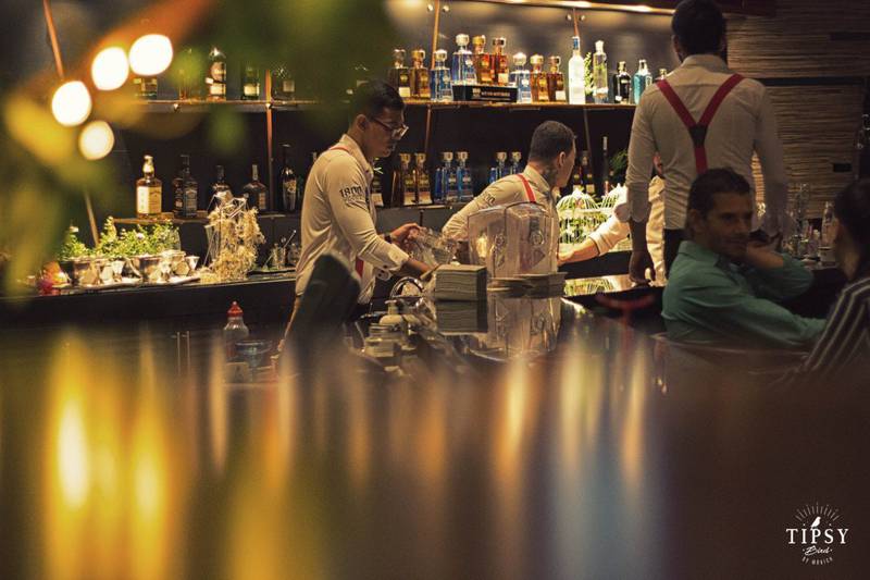 Tipsy bird bar  Movich Pereira