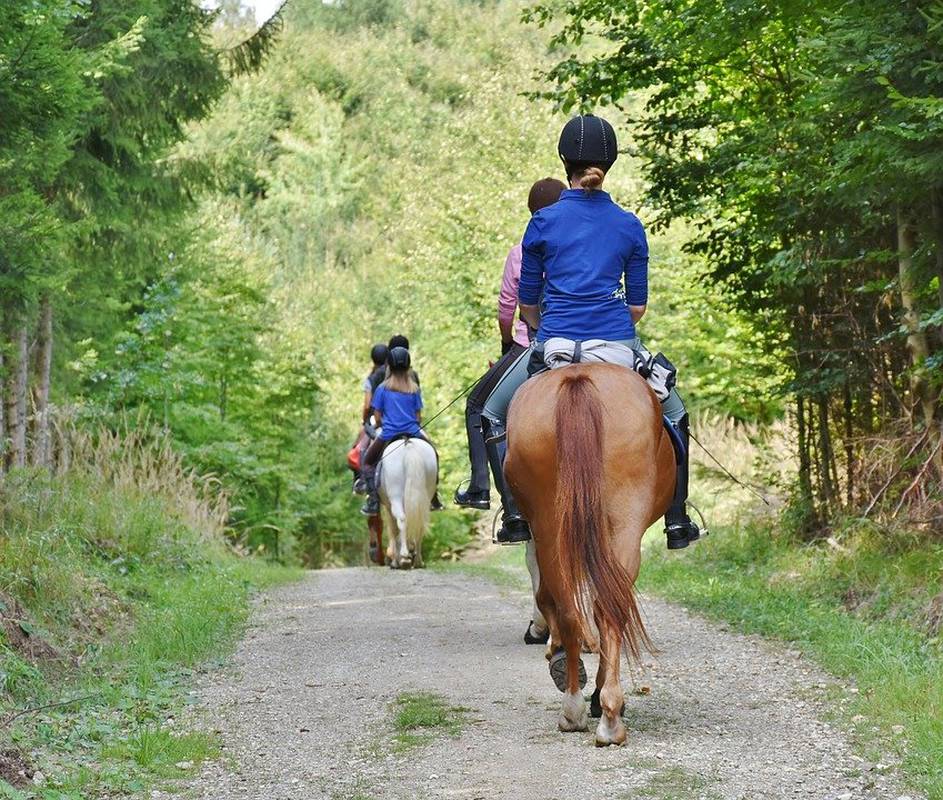 Discover equestrian tourism in Colombia Movich Hotels Discover equestrian tourism in Colombia Movich Hotels