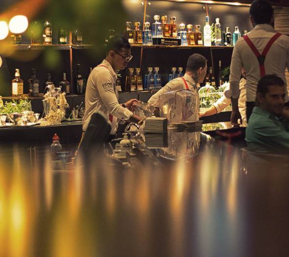 Tipsy bird bar Movich Pereira 