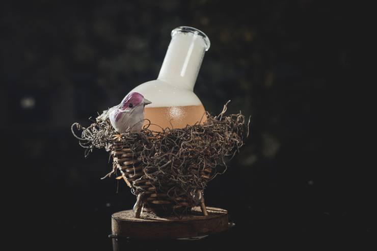 Tipsy Bird Bar Movich Hotels Tipsy Bird Bar Movich Hotels