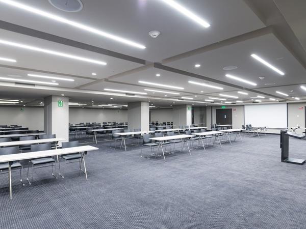 movich-lomas-sala-sapan-e_b1NmNkx