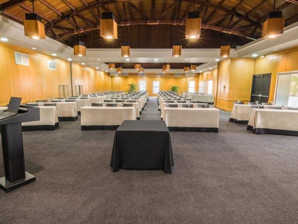 movich-pereira-sala-guayacan-b