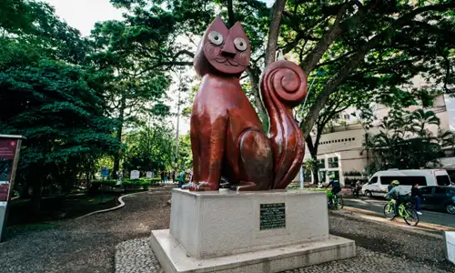 Gato del Río